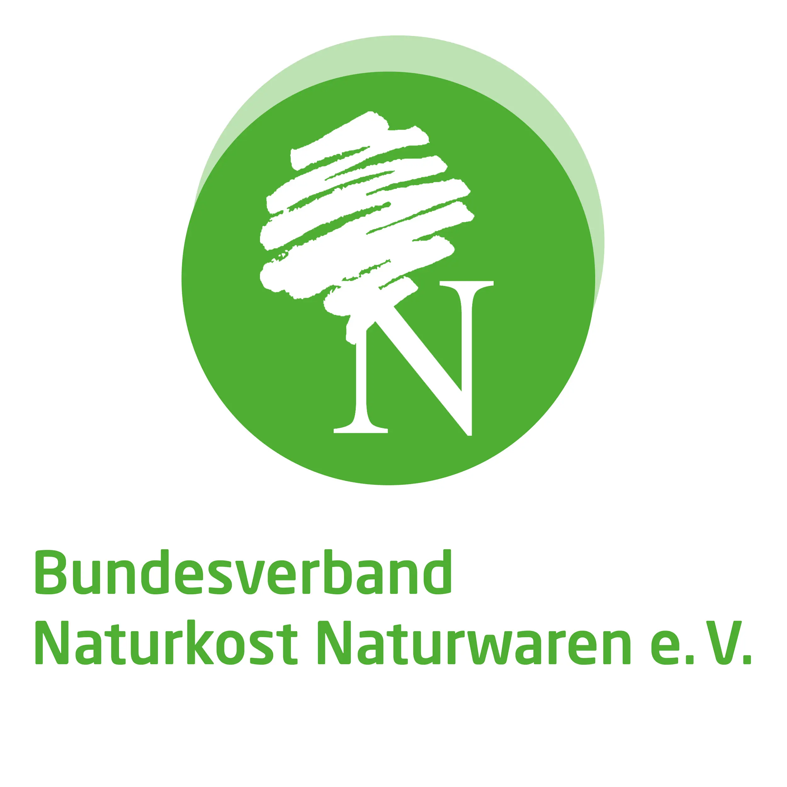 BNN Logo