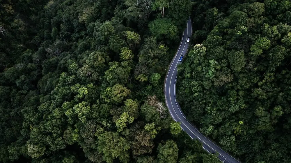 Luftaufnahme einer sich windenden Straße durch einen dichten grünen Wald mit Autos.