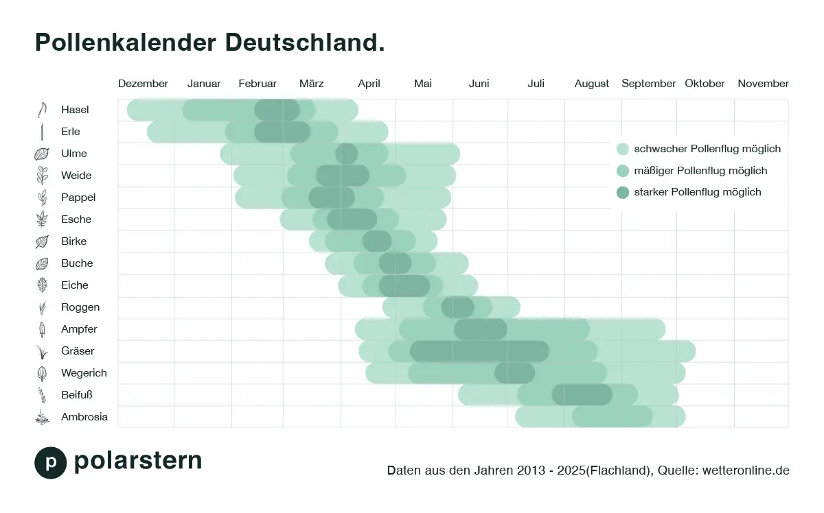 Pollenkalender für Deutschland von Januar bis Dezember
