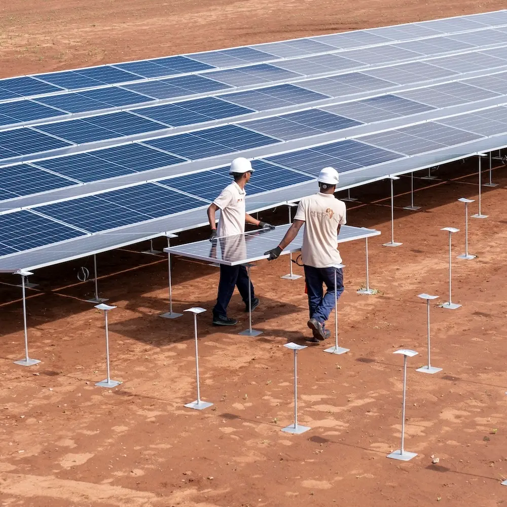 Techniker tragen ein Solarmodul zu einem Solarpark.