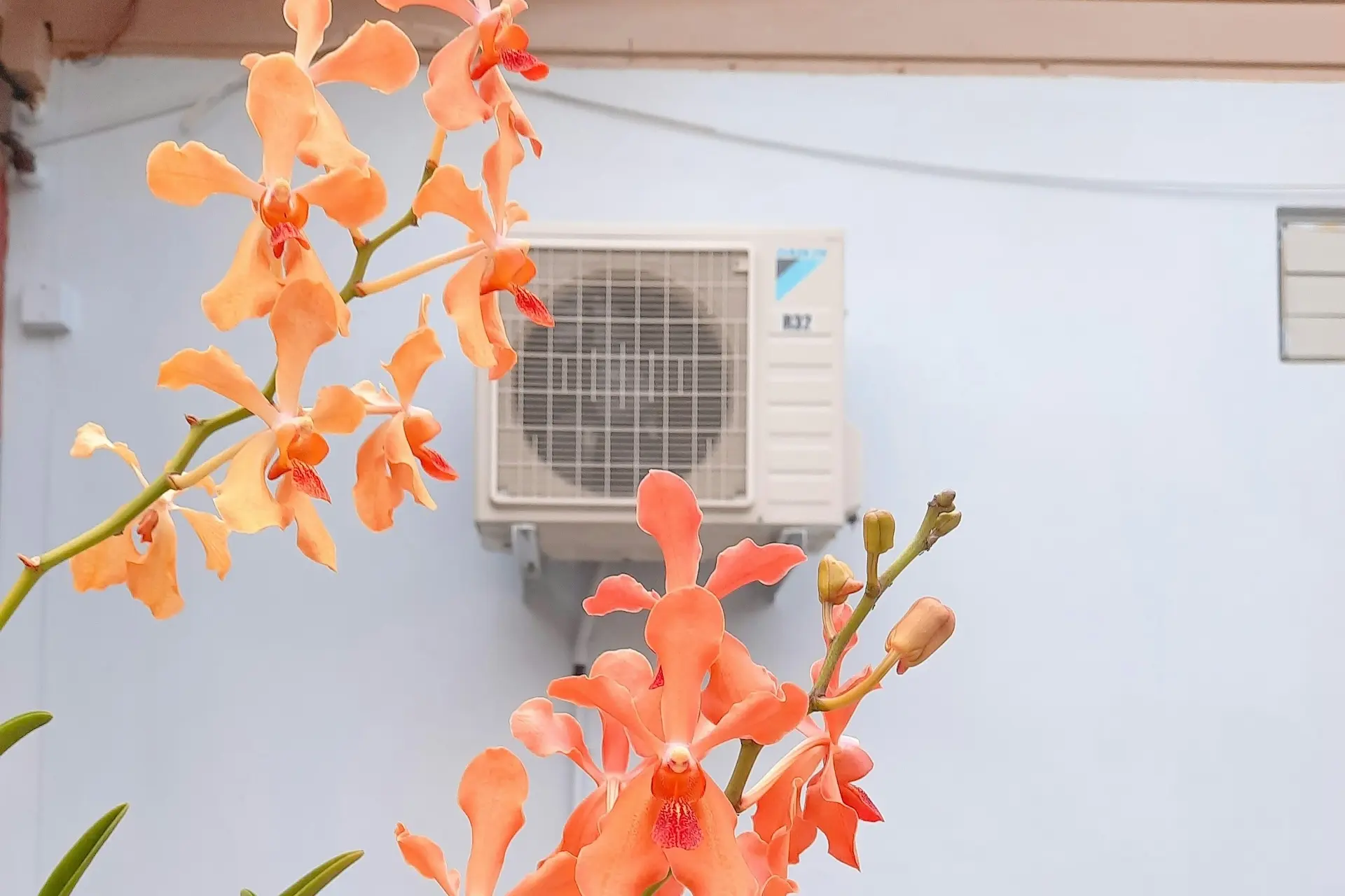 Eine Klimaanlage und davor Blumen