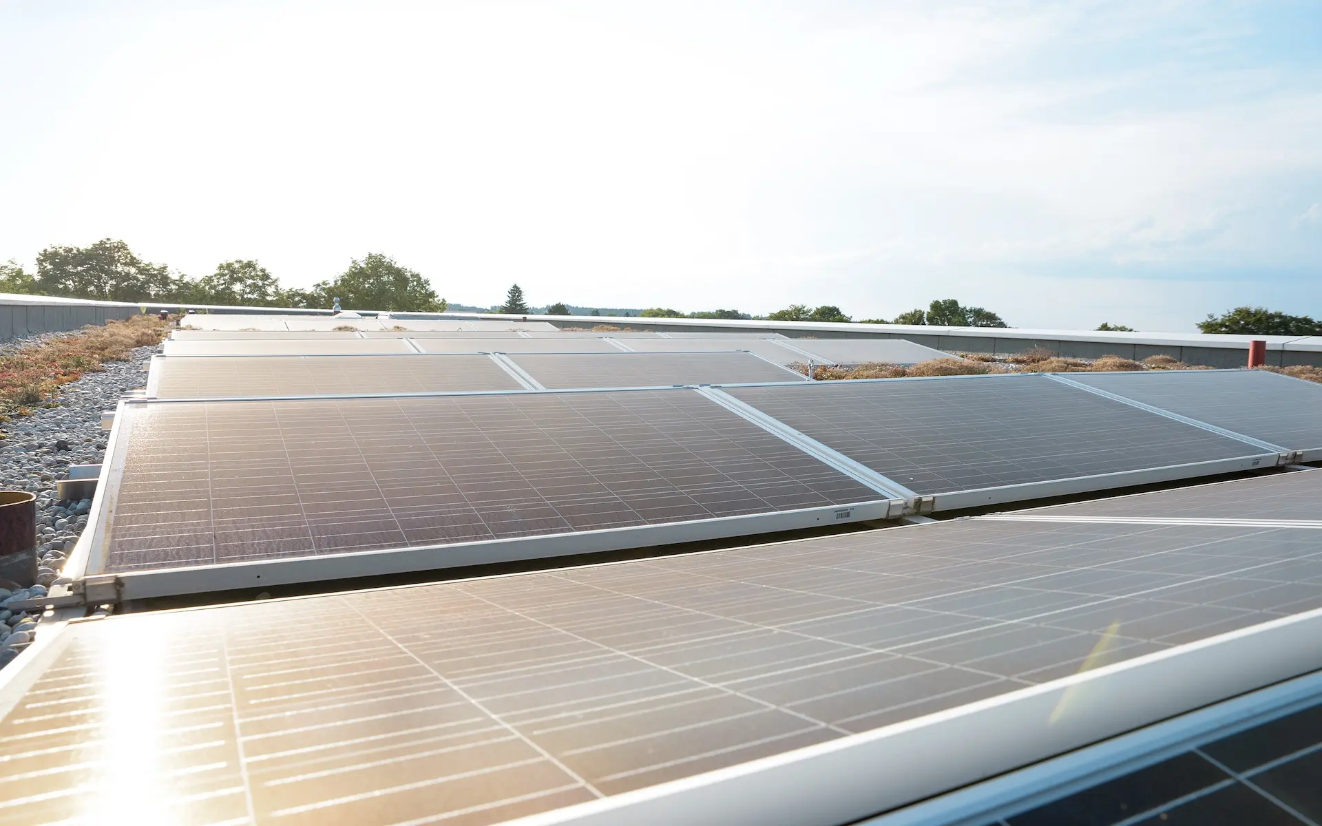 Foto zeigt eine Reihe von Solar-Panalen auf dem Flachdach eines Gebäudes.