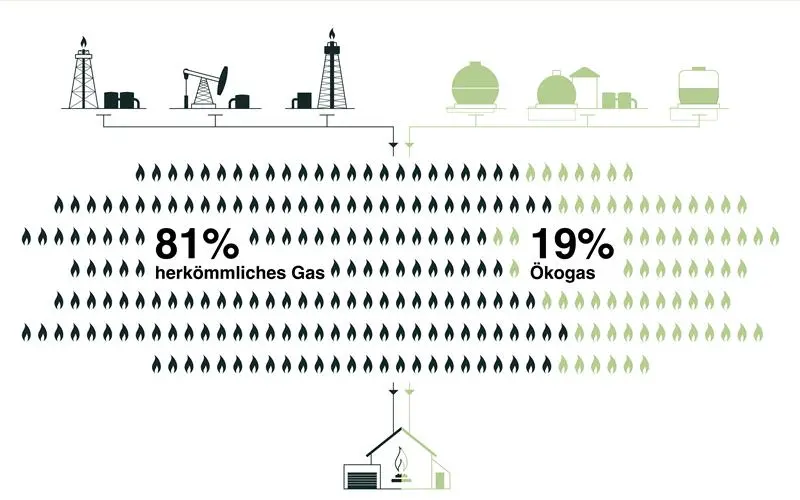 Infografik mit 81 % konventionellem Gas und 19 % Biogas.