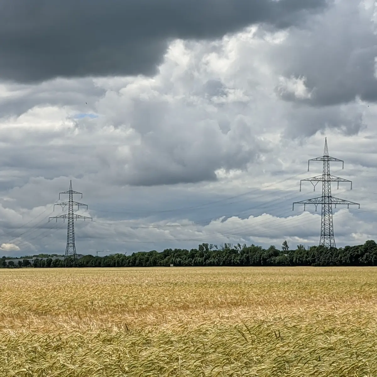 Strommasten auf Feld