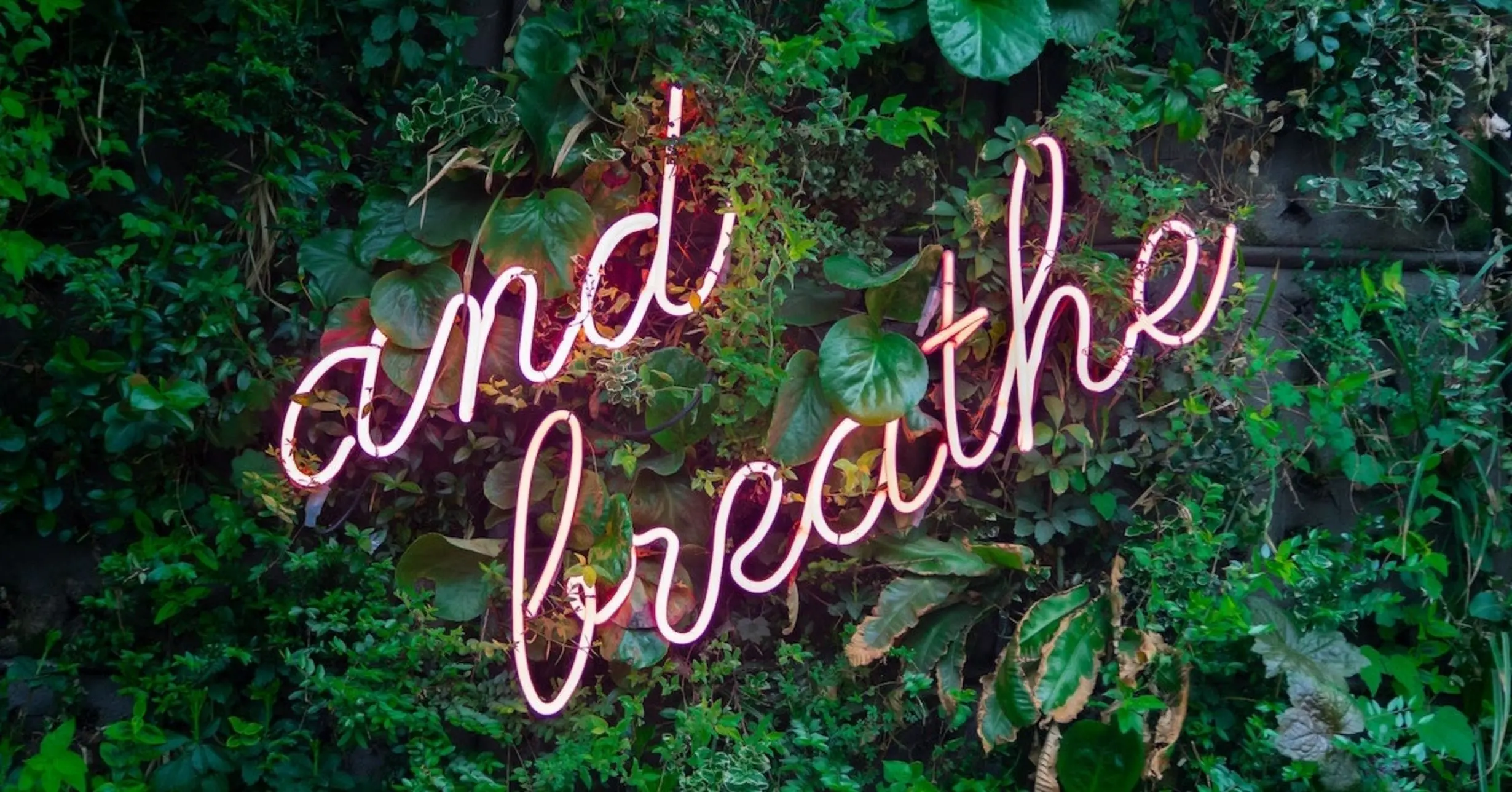 Schriftzug "and breathe" auf Pflanzen